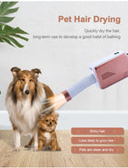 Portable Folding Clothes Dryer for Home and Travel