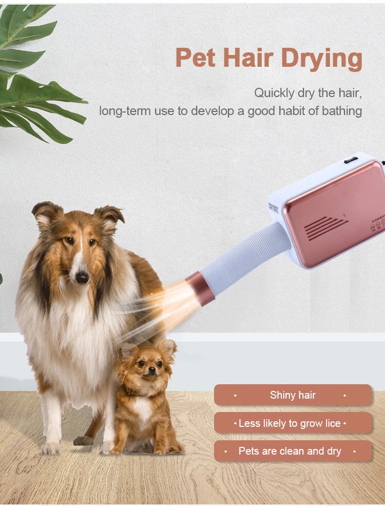 Portable Folding Clothes Dryer for Home and Travel
