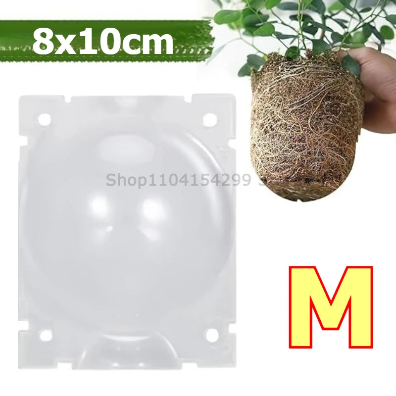 Plant Rooting Propagation Ball Grafting Box