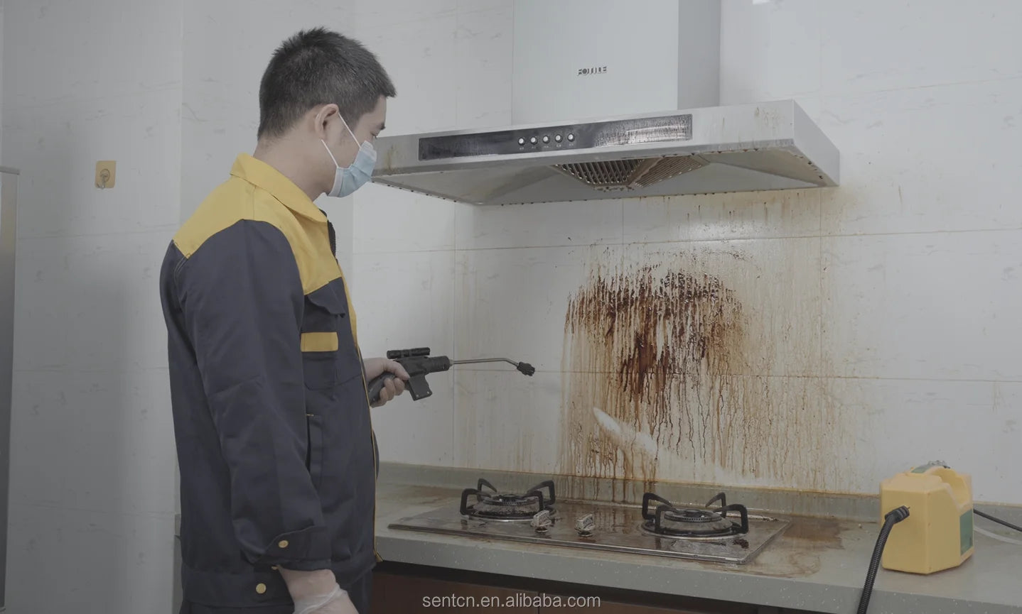 High-Pressure Handheld Steam Cleaner for Home and Car
