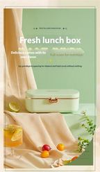 Electric Stainless Steel Portable Food Warmer Lunch Box