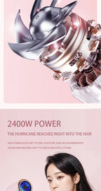 Professional 2000W Ionic Hair Dryer for Fast Styling