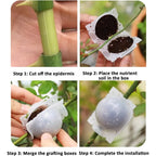 Plant Rooting Propagation Ball Grafting Box
