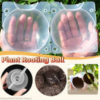Plant Rooting Propagation Ball Grafting Box
