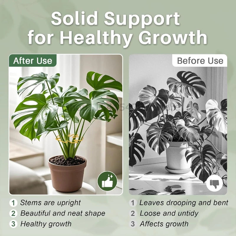 Adjustable Metal Plant Support for Climbing Vines and Stems