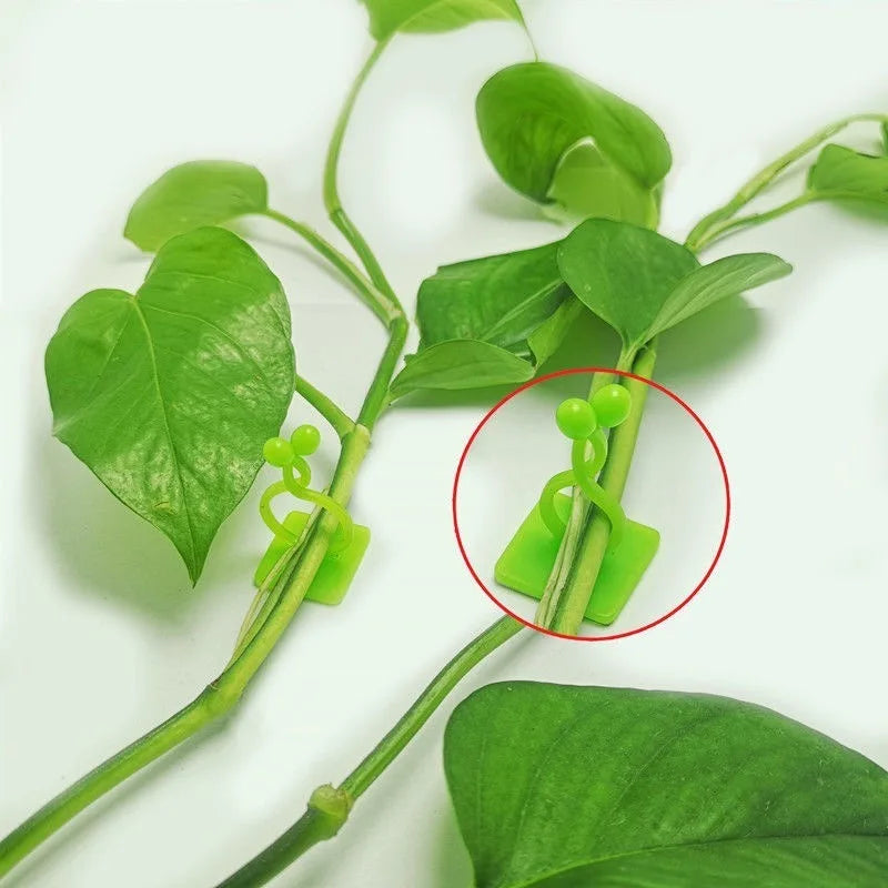 Self-Adhesive Wall Clips for Climbing Plants and Vines