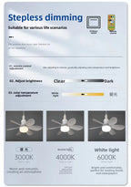 Dimmable LED Ceiling Fan Light with Remote Control