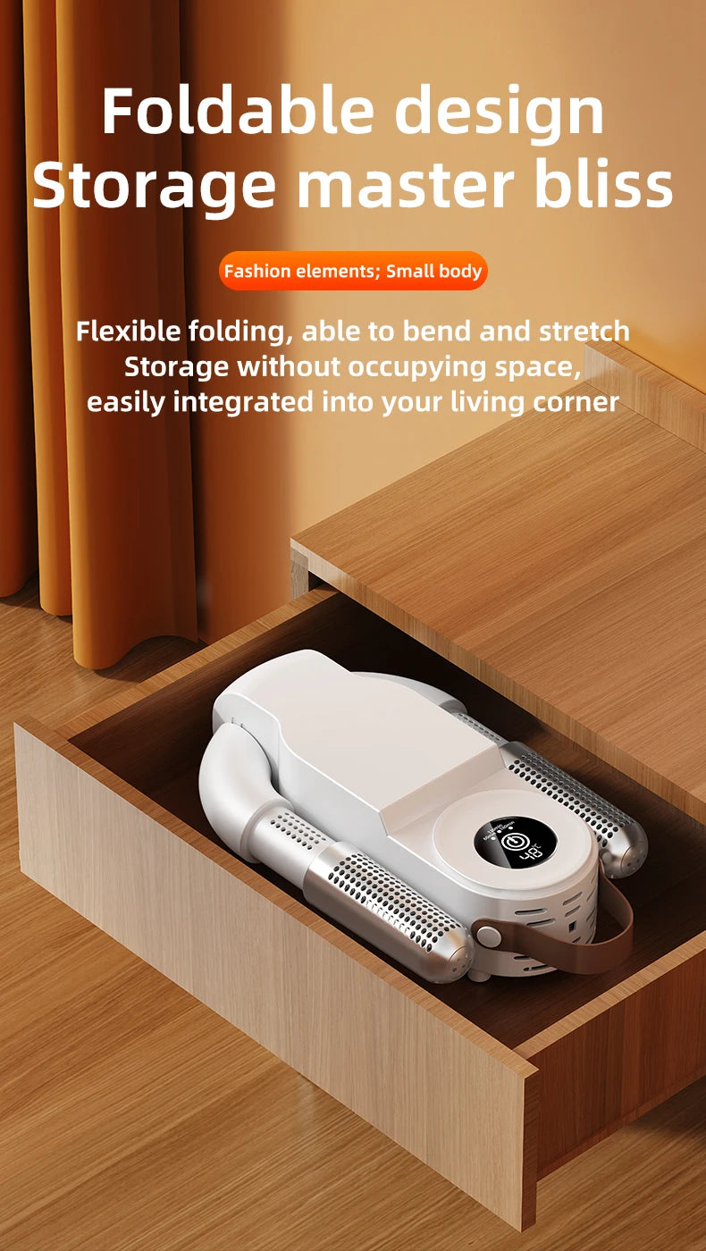 Intelligent Electric Shoe Dryer and Deodorizer
