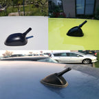Short Carbon Fiber Car Roof Antenna for AM/FM Radio Signal