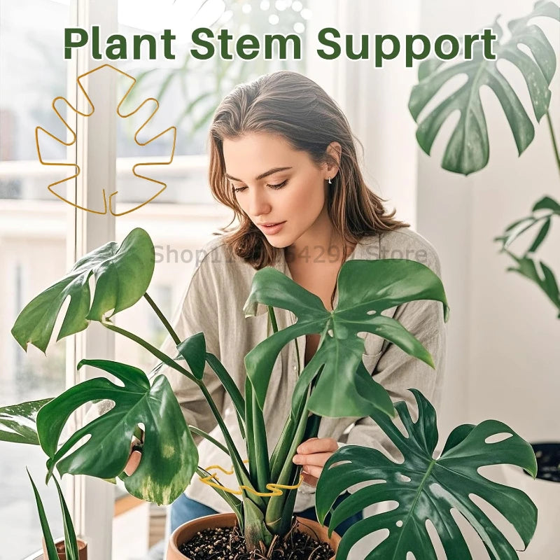 Adjustable Metal Plant Support for Climbing Vines and Stems