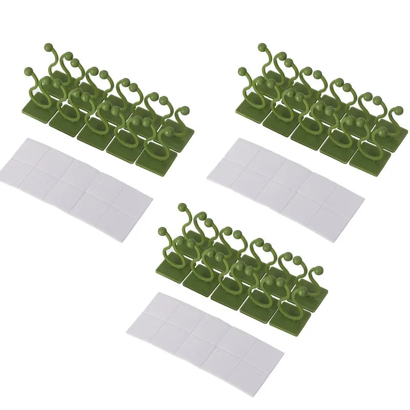 Self-Adhesive Wall Clips for Climbing Plants and Vines