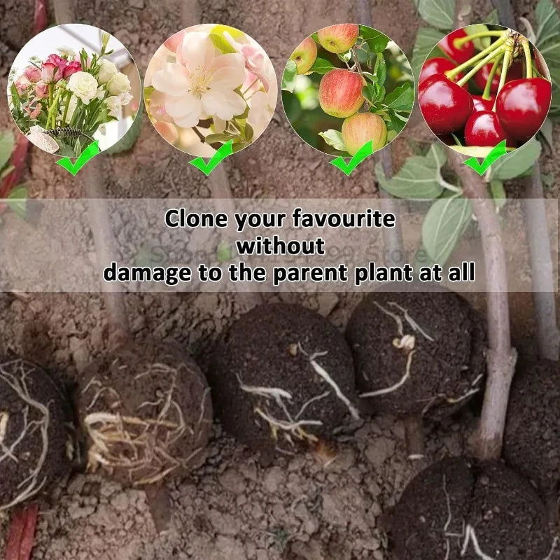 Plant Rooting Propagation Ball Grafting Box