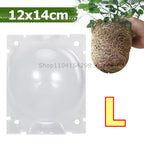 Plant Rooting Propagation Ball Grafting Box