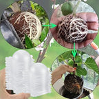 Plant Rooting Propagation Ball Grafting Box